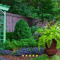 Портфолио MCDANIEL